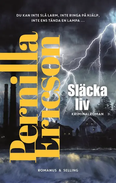 Pernilla Ericson - Släcka liv, Inbunden