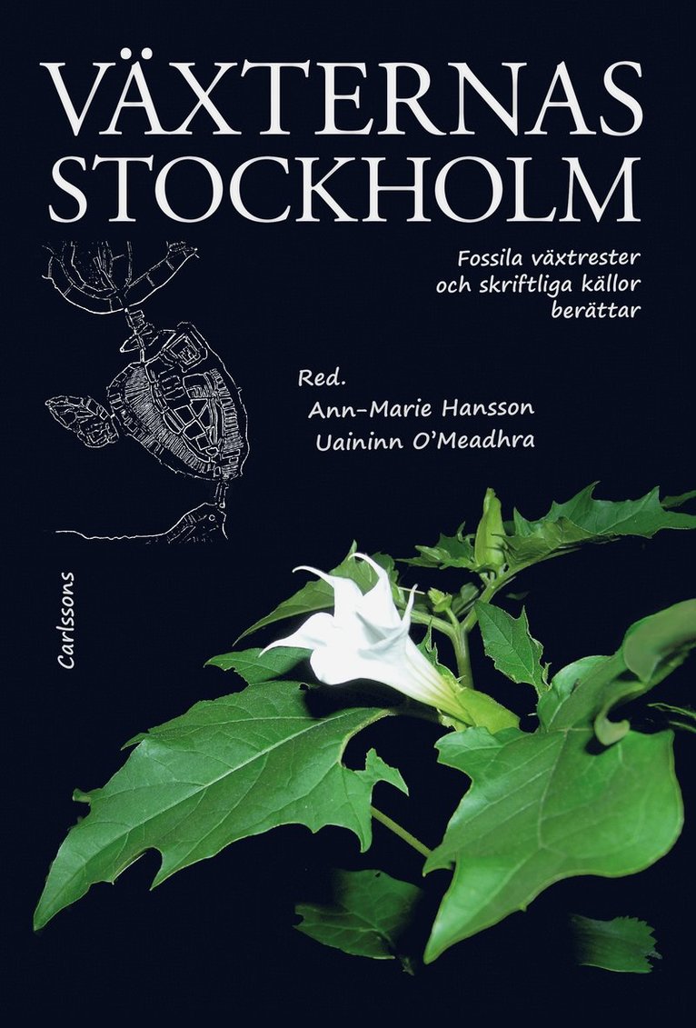 Växternas Stockholm : fossila växtrester och skriftliga källor berättar 1
