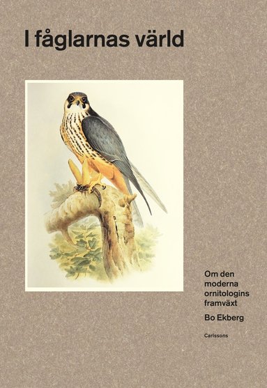 bokomslag I fåglarnas värld : om den moderna ornitologins framväxt
