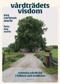 bokomslag Vårdträdets visdom : svenska vårdträd i folktro och tradition