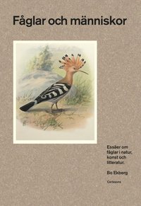 bokomslag Fåglar och människor : essäer om fåglar i natur, konst och litteratur