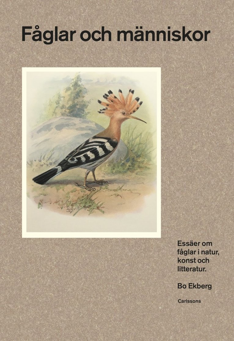 Fåglar och människor : essäer om fåglar i natur, konst och litteratur 1