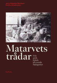 bokomslag Matarvets trådar : från antik fisksås till svenskt fredagsmys