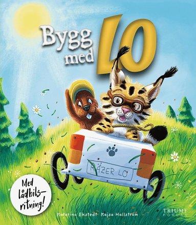 bokomslag Bygg med Lo : med lådbilsritning