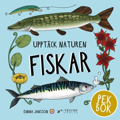 bokomslag Fiskar - pekbok