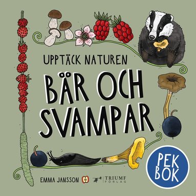 bokomslag Svampar : pekbok