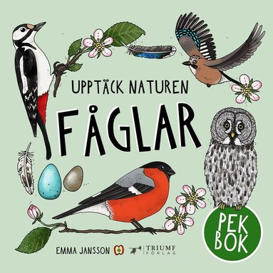 Emma Jansson - Fåglar - pekbok, Inbunden