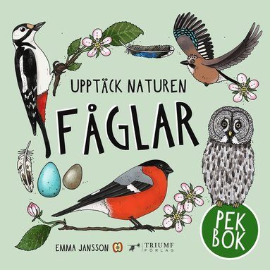 bokomslag Fåglar - pekbok!