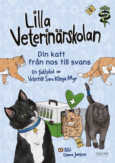bokomslag Lilla veterinärskolan - din katt från nos till svans!