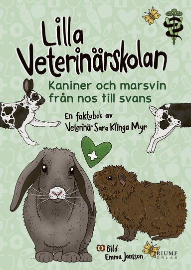 Sara Klinga Myr - Lilla veterinärskolan - kaniner och marsvin från nos till svans, Inbunden