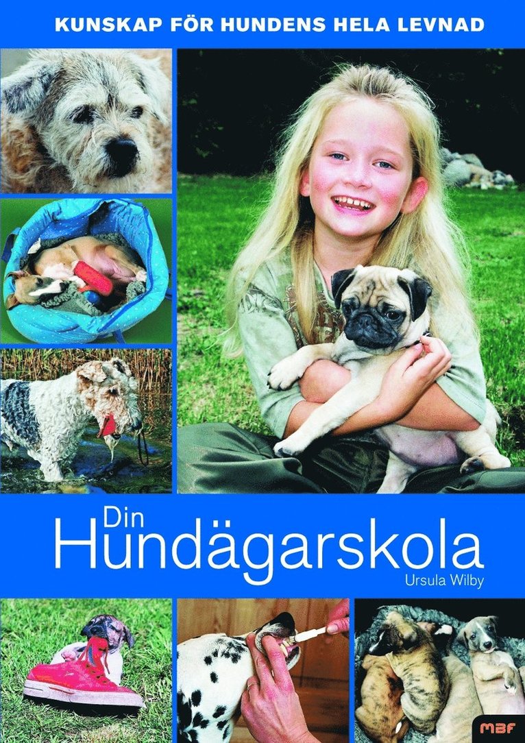 Din hundägarskola