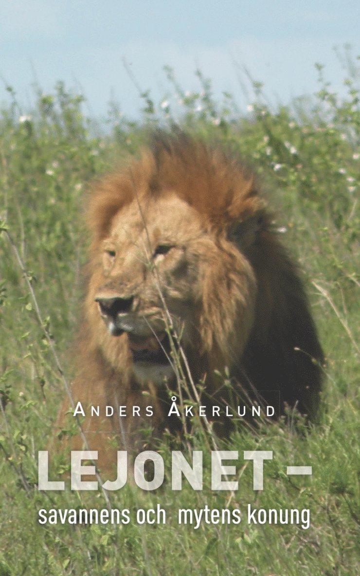 Lejonet : savannens och mytens konung 1