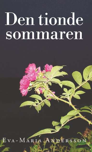 bokomslag Den tionde sommaren