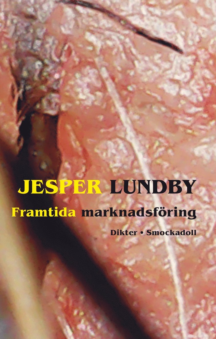 Jesper Lundby - Framtida marknadsföring, Häftad