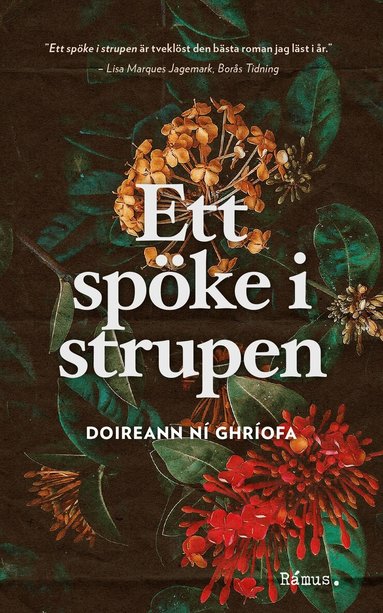 Doireann Ní Ghríofa - Ett spöke i strupen, Pocket