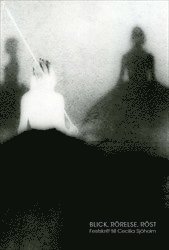 Blick, rörelse, röst : Festskrift till Cecilia Sjöholm