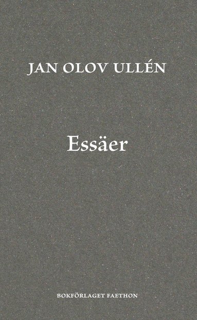 bokomslag Essäer