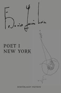 bokomslag Poet i New York