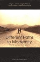 bokomslag Different paths to modernity : a nordic and spanish perspective