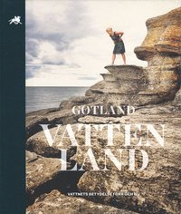 bokomslag Gotland vattenland : vattnets betydelse förr och nu
