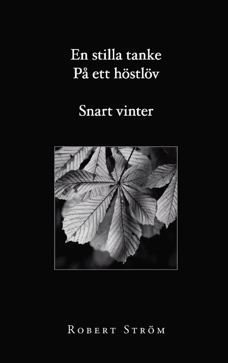 En stilla tanke på ett höstlöv snart vinter 1