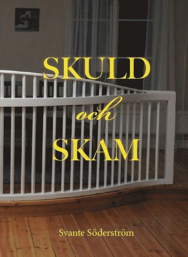 bokomslag Skuld och skam