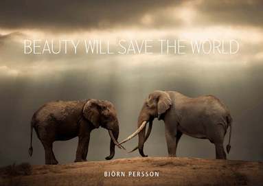 Björn Persson - Beauty will save the world, Inbunden