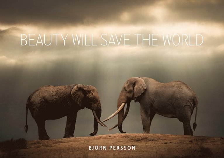 Beauty will save the world 1