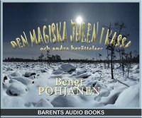 bokomslag Den magiska julen i Kassa : och andra berättelser