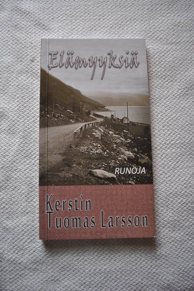 bokomslag Elämyyksiä