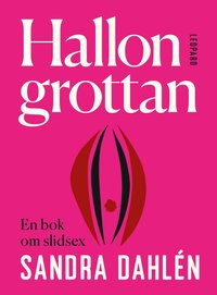 bokomslag Hallongrottan : en bok om slidsex