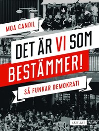bokomslag Det är vi som bestämmer! : så funkar demokrati (nivå 3)
