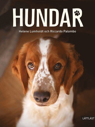 bokomslag Hundar