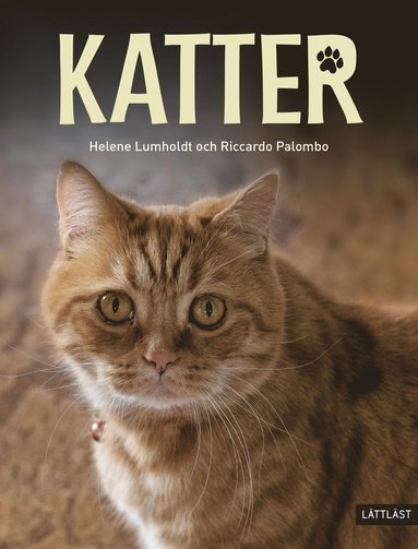 bokomslag Katter