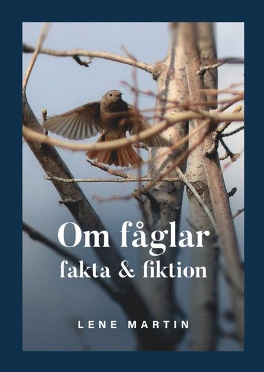 bokomslag Om fåglar, fakta & fiktion