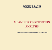 bokomslag Meaning constitution analysis