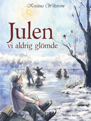 bokomslag Julen vi aldrig glömde