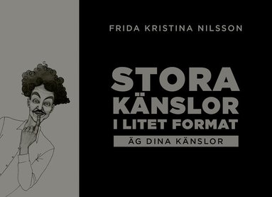 Frida Kristina Nilsson - Stora känslor i litet format : äg dina känslor (svart), Häftad