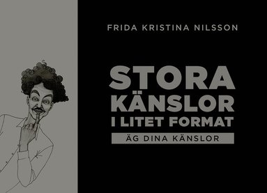 bokomslag Stora känslor i litet format : äg dina känslor (svart)