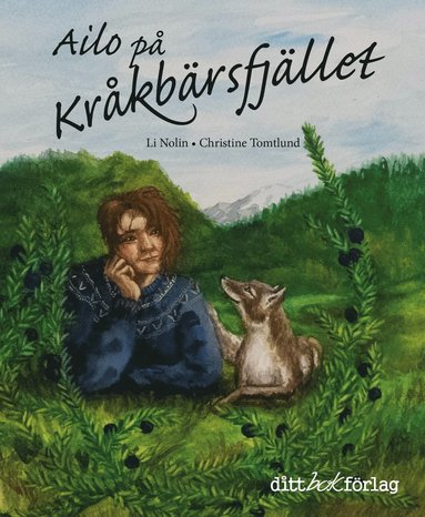bokomslag Ailo på Kråkbärsfjället
