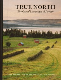 bokomslag True North : The Grand Landscapes Of Sweden