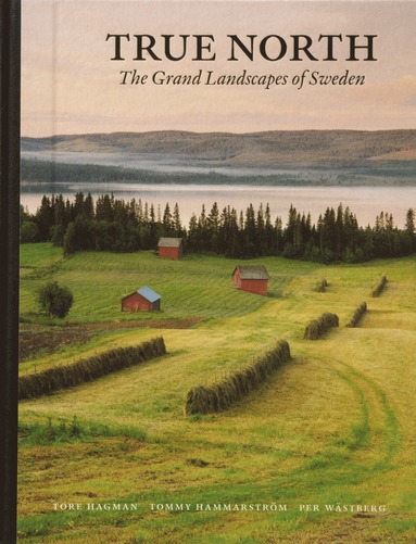 bokomslag True North : the grand landscapes of Swede