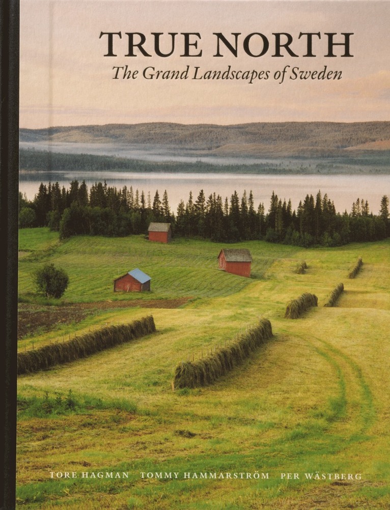True North : the grand landscapes of Swede 1