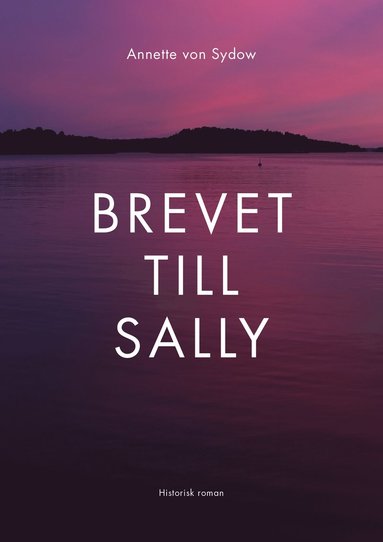 bokomslag Brevet till Sally