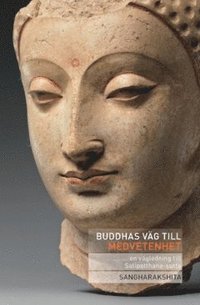 bokomslag Buddhas väg till medvetenhet : en vägledning till Satipatthana-sutta