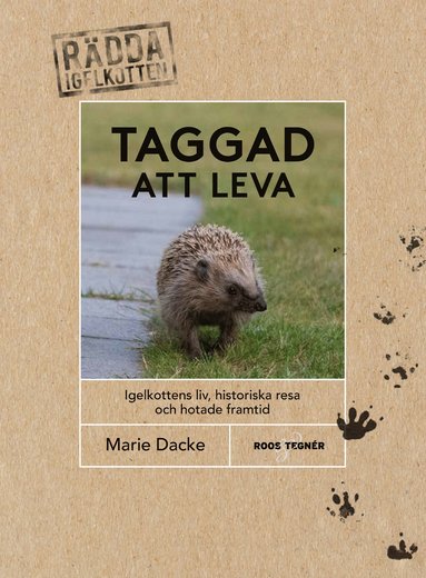 bokomslag Taggad att leva : igelkottens liv, historiska resa och hotade framtid