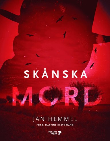 bokomslag Skånska mord