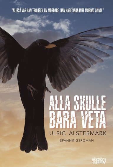 bokomslag Alla skulle bara veta