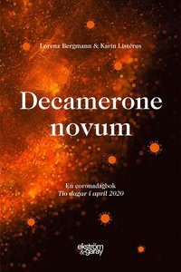 bokomslag Decamerone novum