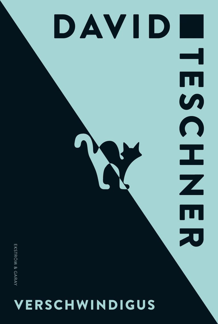 David Teschner - Verschwindigus, Häftad